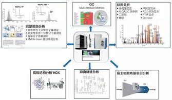 赛默飞中国制药 生物制药客户解决方案中心正式成立